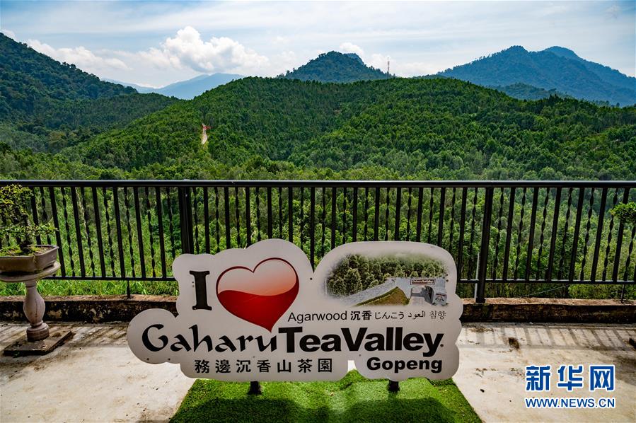 (第三屆進博會·圖文互動)(11)專訪:進博會提供了一個共享中國發展機遇的平臺